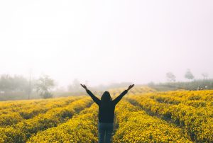 Navigating Changes in the Open Source Landscape